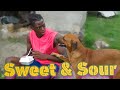 Sweet Sour Fry Irish Comedy