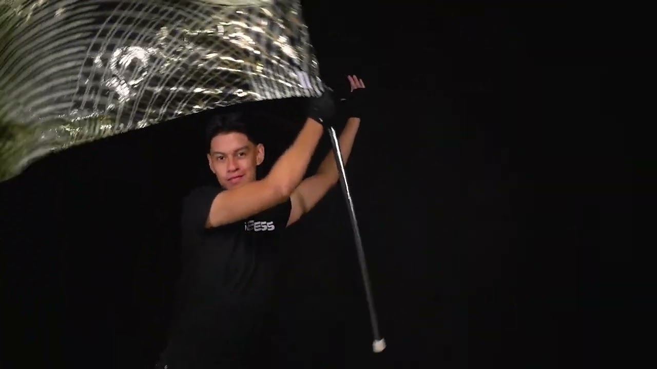 StylePlus Genesis Flag 2008
