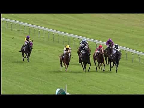 Race Replay: Otaki Race 1 - 23 February