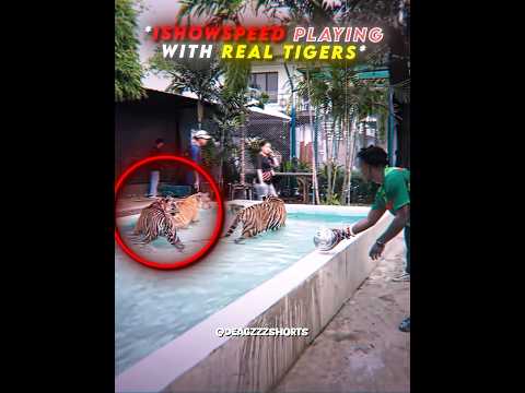 iShowSpeed did NOT saw that coming 🚡🚡 #ishowspeed #tiger #edit