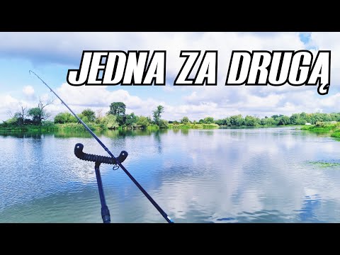 428 ZROZUMIEĆ RZEKĘ - ODRA POWYŻEJ WROCŁAWIA