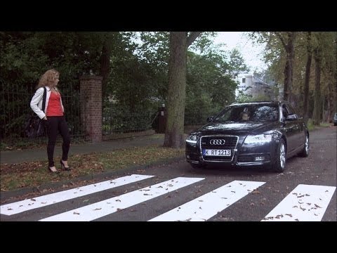 Zebrastreifen - Ladykracher