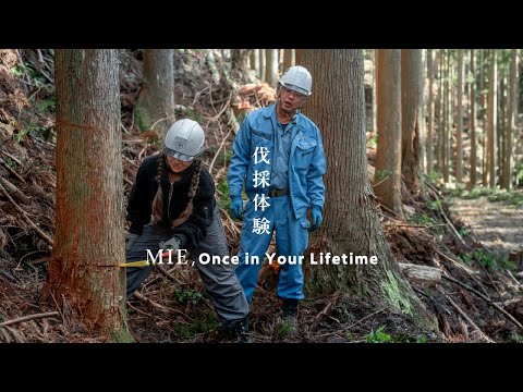 Premium lumbering experience and craft your own wooden chopsticks