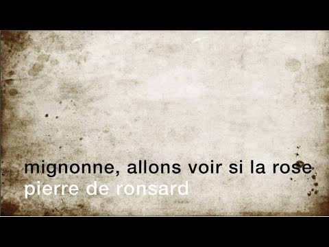 La minute de poésie : Mignonne, allons voir si la rose [Pierre de Ronsard]