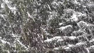 Michael Buble - Winter Wonderland