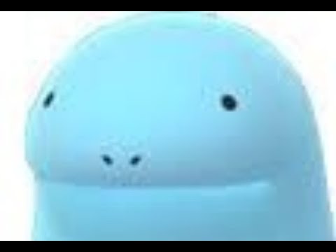 blunder policy quagsire