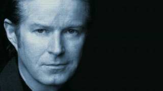 don henley - working it