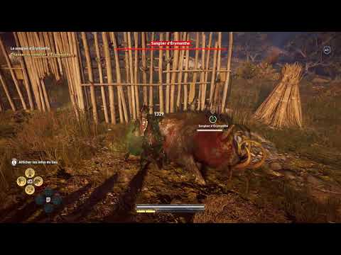 Assassin's creed Odyssey : Sanglier d'Erymanthe