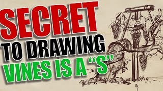 How to Draw a Grapevine Step by Step - Make Your Vines Look Natural!