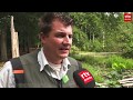 Hoe gevaarlijk is het ranavirus voor de Drentse kikkers?