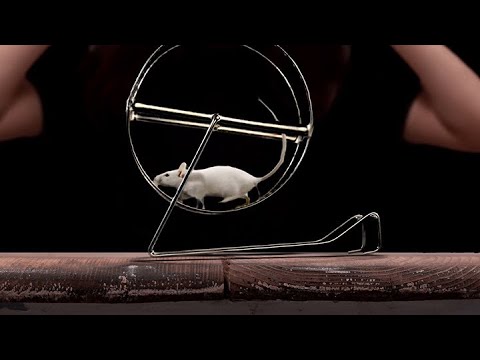 https://youtu.be/Yo9rB5k0obc