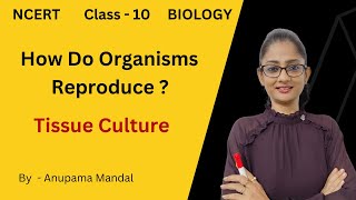 Tissue Culture -  Class-10 Biology  Chapter - How do Organisms Reproduce? | CBSE | NCERT