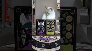 💖✨ Oi, gente bonita! Previsão do Tarô para os próximos 7 dias!