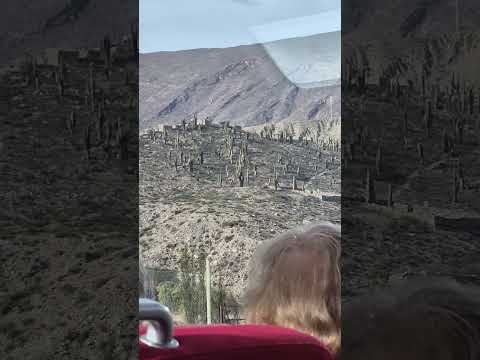 Pucara de Tilcara desde tren solar #tilcara #trensolar #jujuy