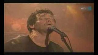 Kispál és a Borz - A rétek halványak