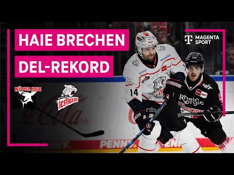 Kölner Haie - Nürnberg Ice Tigers | PENNY DEL | MAGENTA SPORT