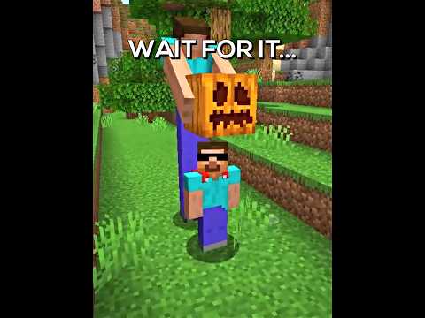 Proboiz Funny Sigma Moment in Minecraft