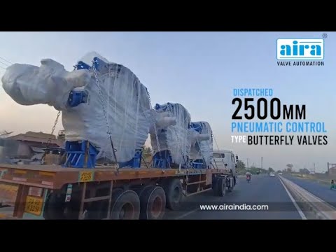 Wafer Type Dual Plate Check Valves