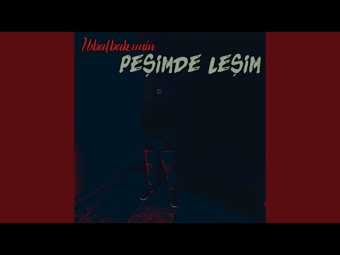 Peşimde Leşim