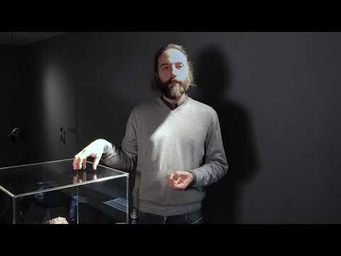 Philipe Havlik: Der Meteorit Horace