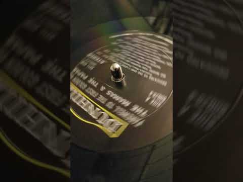 the mamas and the papas dedicated to the one I love vinyl