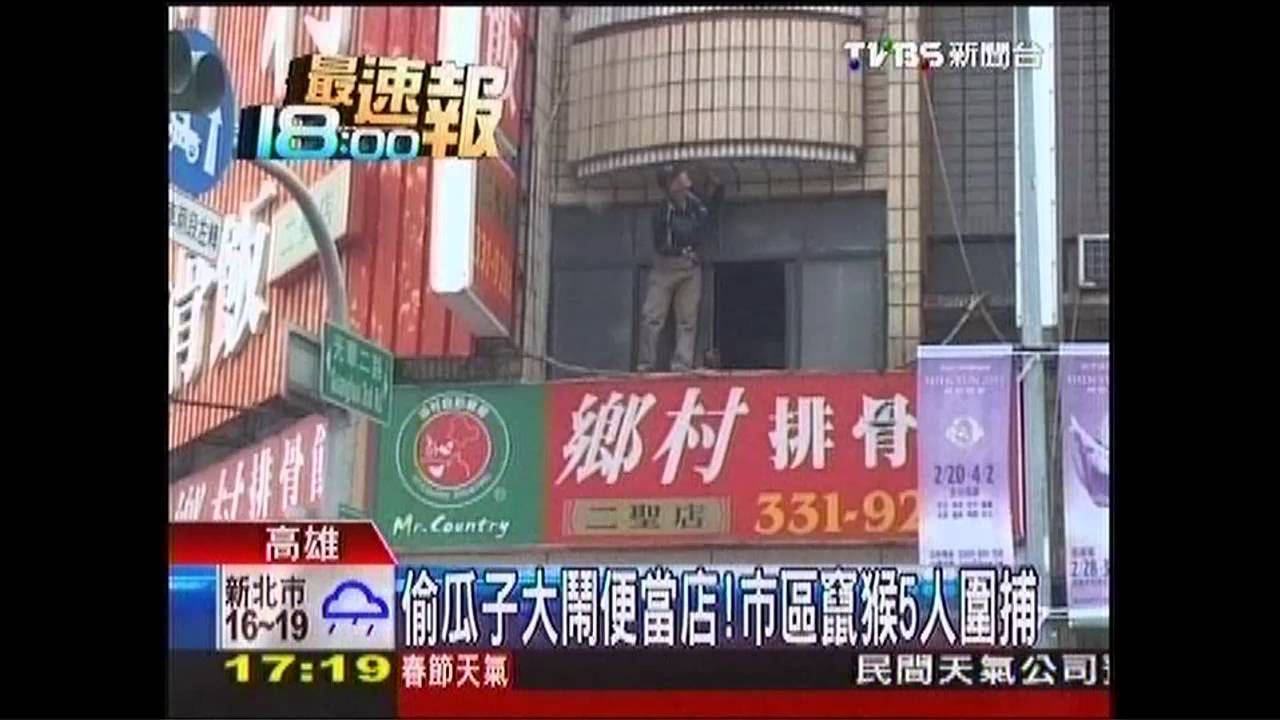 偷瓜子大鬧便當店! 市區竄猴5人圍捕