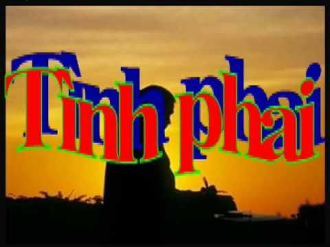 Tình phai Sheet - Quỳnh Lan