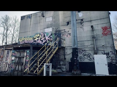 An insight into the Berlin club scene