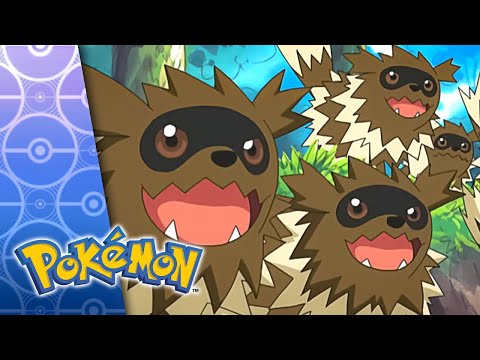 In the Knicker of Time | POKÉMON FULL EPISODE 5 | Season 6