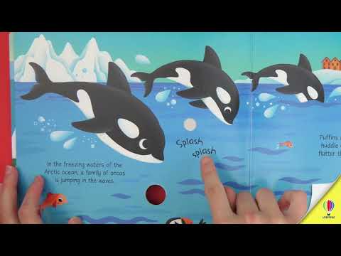 Книга Arctic Animals Sound Book video 1