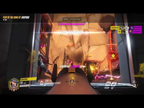 bob does something - Gaspode