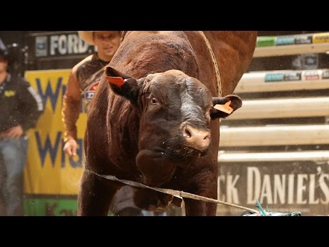 WRECK: Guilherme Marchi tossed by Cooper Tires Brown Sugar (PBR)