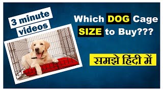 Which Dog Cage Size to Buy || 42 inch Dog Cage Review || In Hindi
