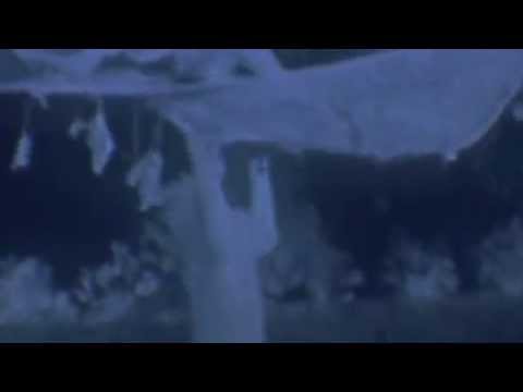 Lions & Meat Hammock (Wildboyz in Kenya)