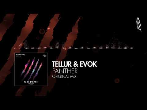 Tellur & Evok - Panther
