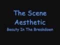 The Scene Aesthetic - Beauty In The Breakdown ...