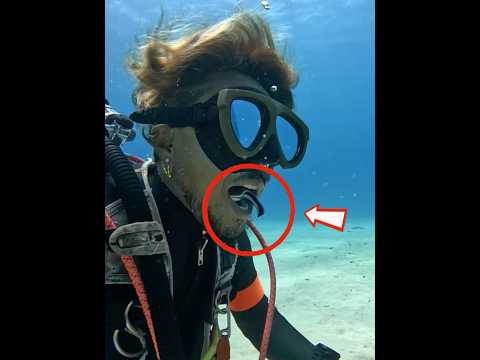 Este pez es un dentista calificado❤️#animals #cute #love #shorts