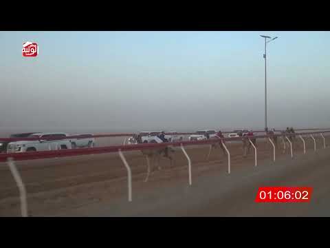  ش 5 (اليازي) لـ سالم بن حميد اللحيفي 2:07 ، شارة الصندوق 2026/05/30 فطامين الروضة