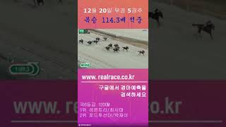 24년 12월 20일 부경 5경주 복승 114.3배 적중 #경마예측 #경마 #경마예상 #경마정보 #예상지 #horse #horseracing #렛츠런 파크