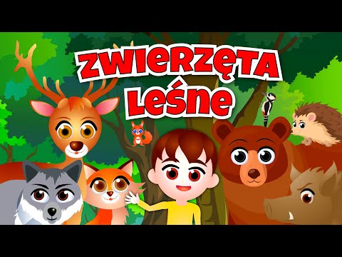 Kazio i LEŚNE ZWIERZĘTA film edukacyjny dla dzieci 🦊 Mieszkańcy i warstwy lasu 🌳