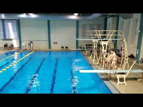 2017 UNCW Men's 1m - Dive 5 5132D