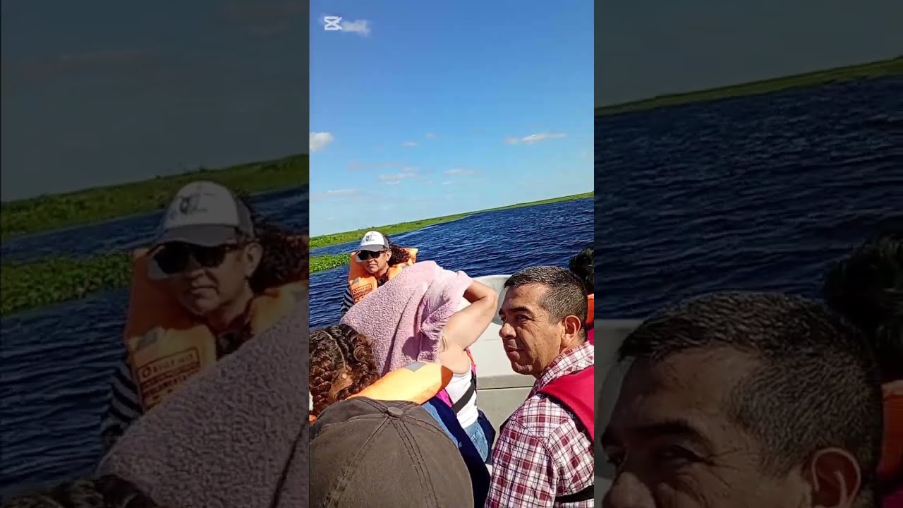 Video de YouTube