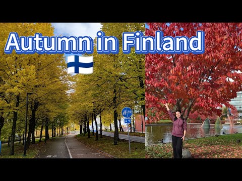 Autumn in Kerava  Finland 🇫🇮