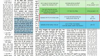 דף יומי מסכת בבא בתרא דף קסה Daf yomi Masechet Bava Batra page 165  ע"י יוני גוטמן (שיעורי הדף היומי ב-20 דקות - מועבר ע"י ר' יוני גוטמן - לעילוי נשמת אביו ר' אלימלך צבי (צביקה) גוטמן ז"ל) - התמונה מוצגת ישירות מתוך אתר האינטרנט יוטיוב. זכויות היוצרים בתמונה שייכות ליוצרה. קישור קרדיט למקור התוכן נמצא בתוך דף הסרטון