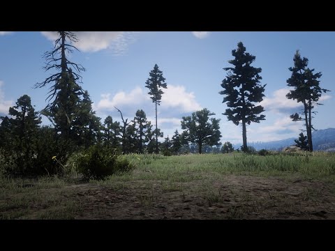RDR2 | Every Camp Interactions | Chapter 2 (Rare Encounters)