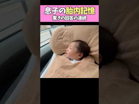 【感動】2歳半の息子に胎内記憶を聞いたら具体的で驚きの回答の連続でした