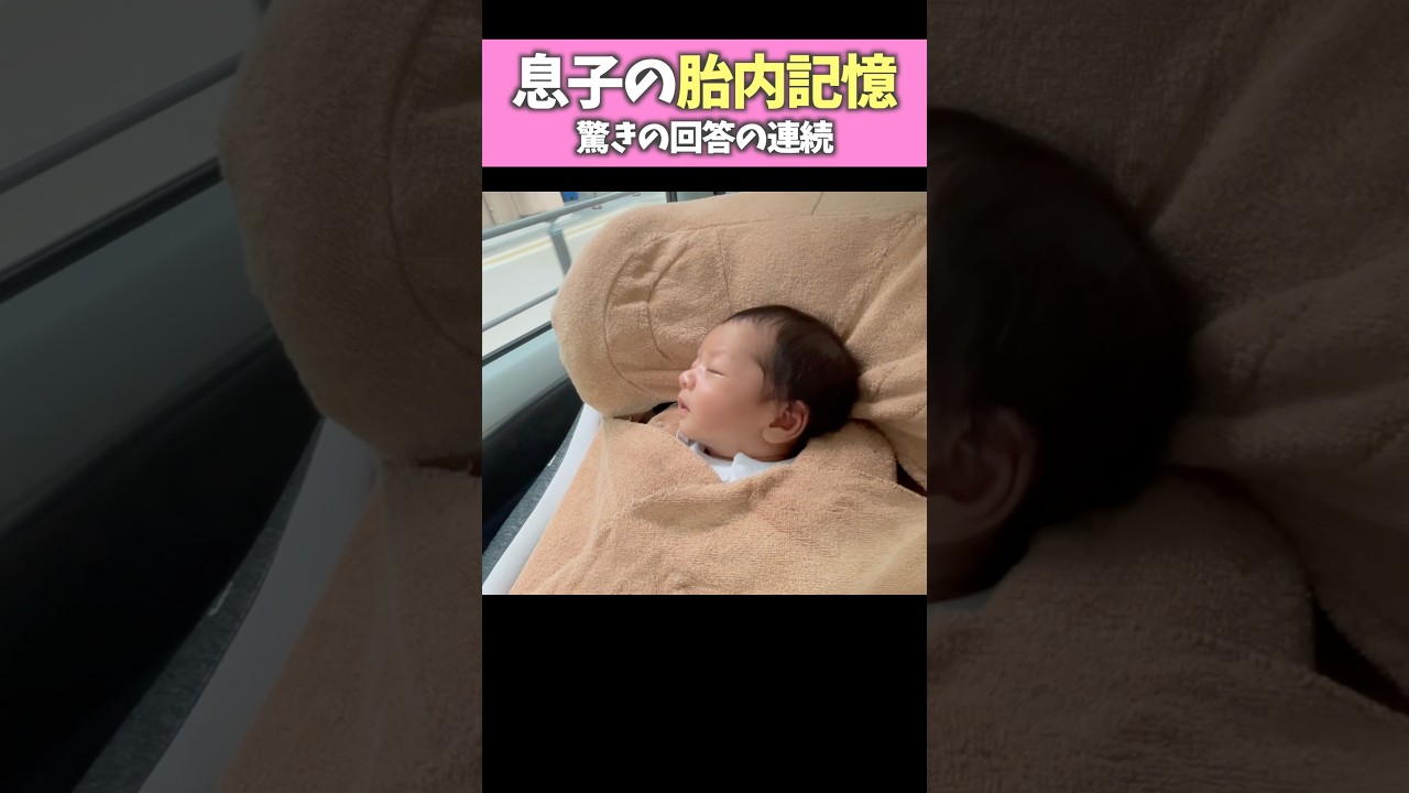 【感動】2歳半の息子に胎内記憶を聞いたら具体的で驚きの回答の連続でした