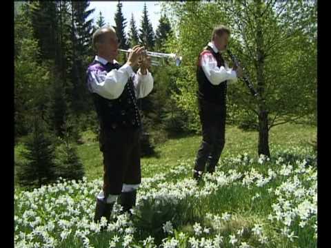 Gasperji - Pomladansko cvetje www.fotobrbre.si