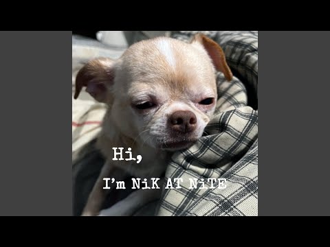 Hi, I'm NiK AT NiTE