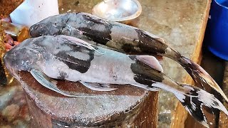 Fish Vs Blade!!Amazing Bagarius Yarrelli Fish Cutting By Expert Fish Cutter ||